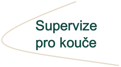 Supervize pro kouče